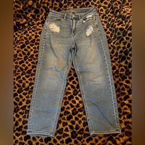 American Eagle Outfitters Light Blue Denim Shorts